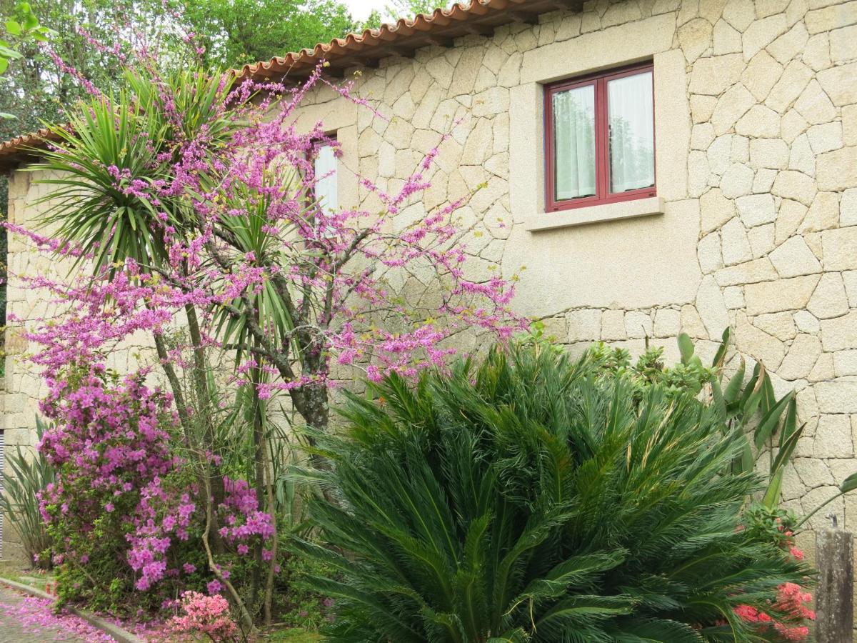 فيلا Casa Dos Tinocos براغا المظهر الخارجي الصورة